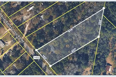 3480 Blue Banks Loop Road NE, Leland, NC 28451 - Photo 3