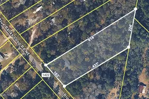 3480 Blue Banks Loop Rd NE, Leland, NC 28451 - Photo 3