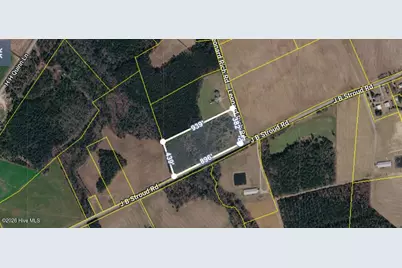 1923 Leonard Rich Road, Magnolia, NC 28453 - Photo 3