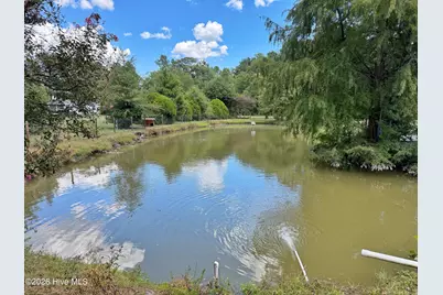 817 Alphin Road, Kinston, NC 28504 - Photo 47