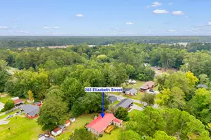 203 Elizabeth St, Tabor City, NC 28463 - Photo 33
