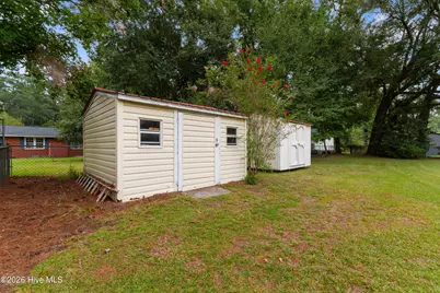 203 Elizabeth Street, Tabor City, NC 28463 - Photo 29
