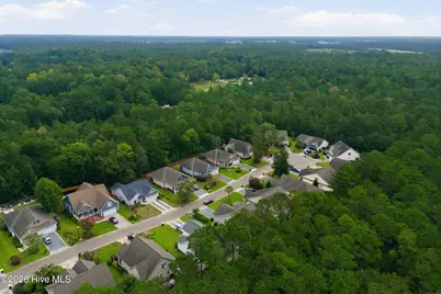 380 Southbend Court NE, Leland, NC 28451 - Photo 33