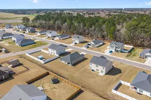 4257 Stanfield Ct, Ayden, NC 28513 - Photo 19
