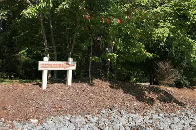 0 Nathan McDaniel Drive, Nebo, NC 28761 - Photo 19