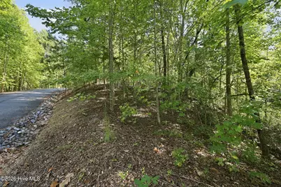 0 Nathan McDaniel Drive, Nebo, NC 28761 - Photo 21