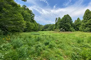 100 Eva Mae Ln, Murphy, NC 28906 - Photo 1