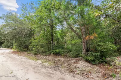 175 Boxwood Street SE, Bolivia, NC 28422 - Photo 13
