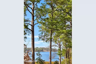 201 Madison Court, Swansboro, NC 28584 - Photo 5
