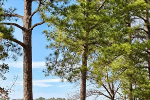 201 Madison Ct, Swansboro, NC 28584 - Photo 5