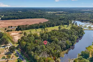 427 Tracy Brown Rd, Magnolia, NC 28453 - Photo 55