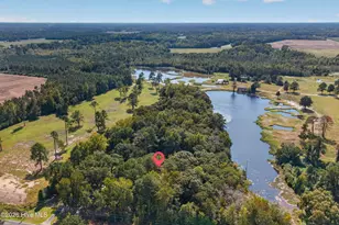 427 Tracy Brown Rd, Magnolia, NC 28453 - Photo 53