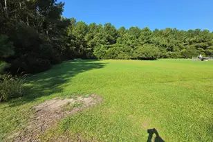 258 Hideaway Rd, Belhaven, NC 27810 - Photo 15