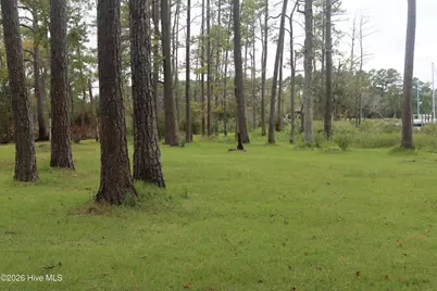 417 Mills Road, Oriental, NC 28571 - Photo 11