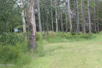 417 Mills Road, Oriental, NC 28571 - Photo 5