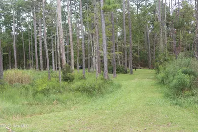 417 Mills Road, Oriental, NC 28571 - Photo 9