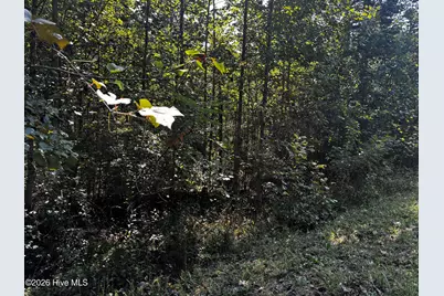 00 Highland Ridge Trail, Murphy, NC 28906 - Photo 3