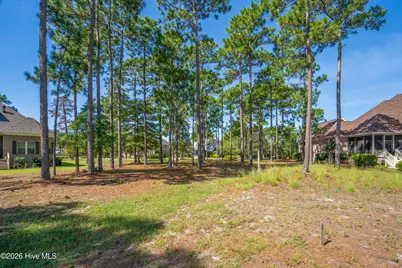 343 Laurel Valley Drive, Shallotte, NC 28470 - Photo 3