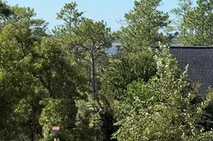 347 Trisail Ter, Wilmington, NC 28412 - Photo 41