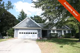 315 Peppertree Ct, Jacksonville, NC 28540 - Photo 1