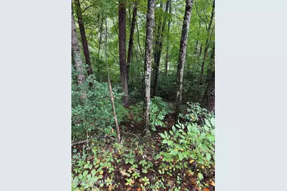 0 Little Wolf Creek Road, Murphy, NC 28906 - Photo 3