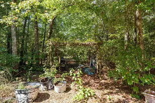 822 Woodland Dr, New Ellenton, SC 29809 - Photo 61
