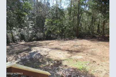 409 Celtic Ash Street, Sneads Ferry, NC 28460 - Photo 23
