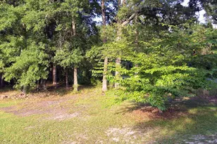1836 Pine Level Church Rd, Nakina, NC 28455 - Photo 85