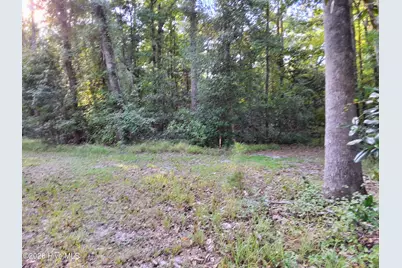 1836 Pine Level Church Road, Nakina, NC 28455 - Photo 67