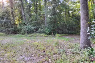 1836 Pine Level Church Rd, Nakina, NC 28455 - Photo 67