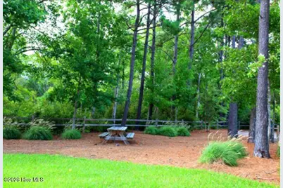 186 Snow Goose Lane, Sneads Ferry, NC 28460 - Photo 13
