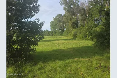 927 Clarendon Chadbourn Road, Chadbourn, NC 28431 - Photo 3