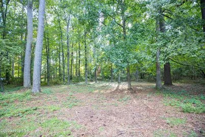 101 Haldane Drive, Southern Pines, NC 28387 - Photo 61