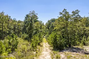 1540 Lovelace Rd, Lincolnton, GA 30817 - Photo 81