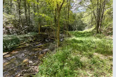 9765 Little Snowbird Road, Robbinsville, NC 28771 - Photo 7