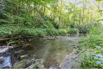 9765 Little Snowbird Road, Robbinsville, NC 28771 - Photo 1