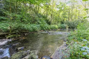 9765 Little Snowbird Rd, Robbinsville, NC 28771 - Photo 1