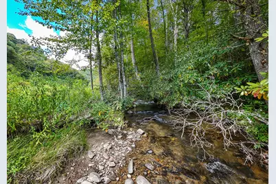 9765 Little Snowbird Road, Robbinsville, NC 28771 - Photo 19