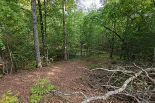 490 Nichols Rd, Murphy, NC 28906 - Photo 39