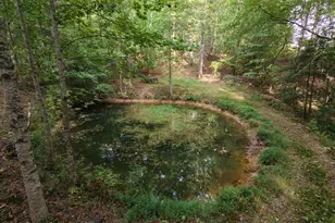 490 Nichols Rd, Murphy, NC 28906 - Photo 41