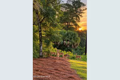 2625 Seashore Road SW, Supply, NC 28462 - Photo 59