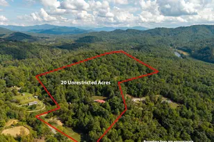 5221 Fires Creek Rd, Hayesville, NC 28904 - Photo 15