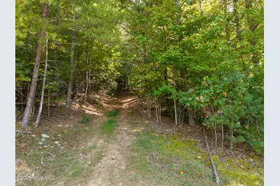 5221 Fires Creek Road, Hayesville, NC 28904 - Photo 11