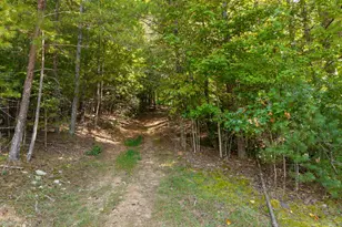 5221 Fires Creek Rd, Hayesville, NC 28904 - Photo 11