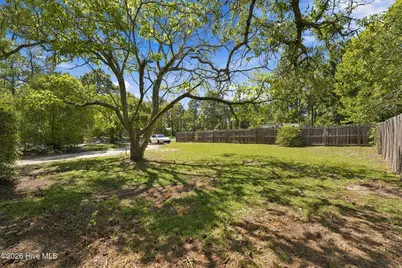 263 Youngs Road, Vass, NC 28394 - Photo 29