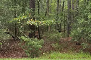 208 Pamlico River Dr, Washington, NC 27889 - Photo 1