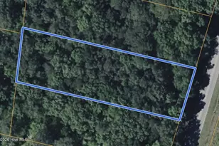 161 Old Washington Rd, Vanceboro, NC 28586 - Photo 1