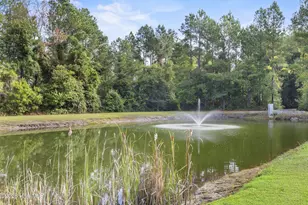 6079 Bell Williams Rd, Currie, NC 28435 - Photo 39