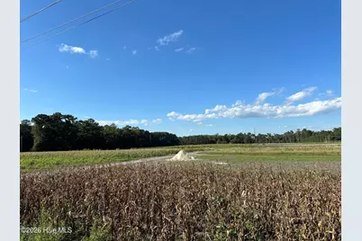000 Willis Farm Tract-1 Road, Newport, NC 28570 - Photo 3