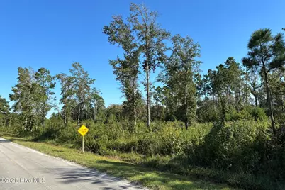 000 Willis Farm Tract-2 Road, Newport, NC 28570 - Photo 5